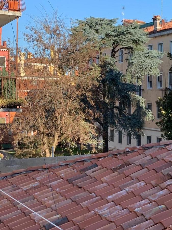 Eagle'S Nest Venice Guest House Exteriör bild